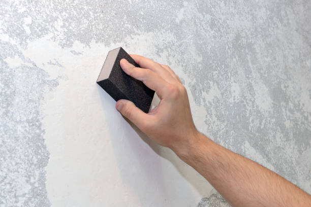 Best Air Quality Testing for Mold Spores  in Lakin, KS