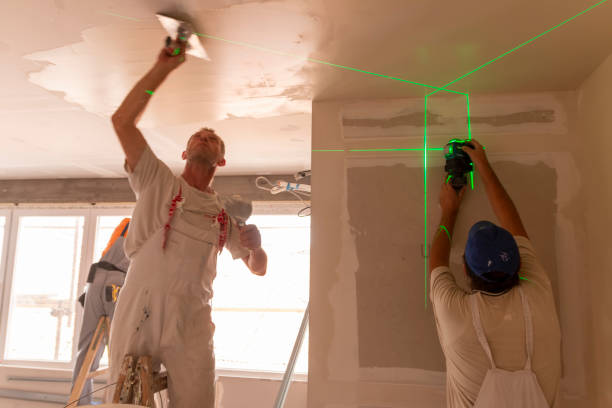 Best Mold Remediation for Healthcare Facilities  in Lakin, KS