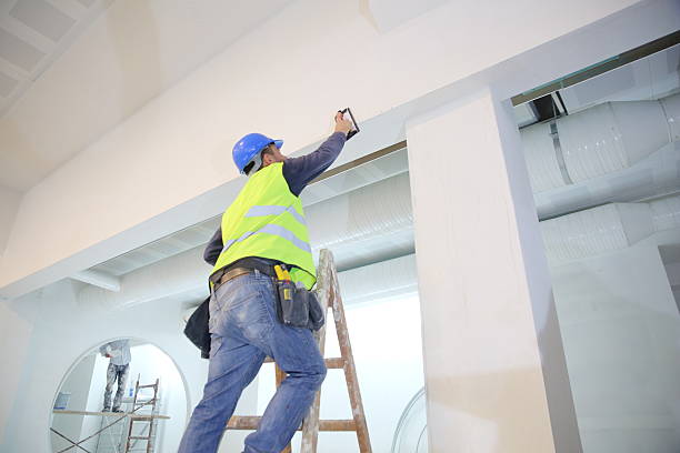 Best Asbestos and Lead Testing During Mold Inspection  in Lakin, KS